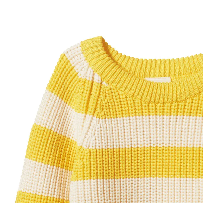 Nature Baby Billy Jumper - Bold Sunny Stripe Chunky Knit