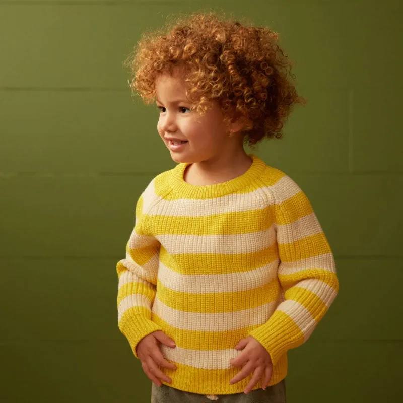 Nature Baby Billy Jumper - Bold Sunny Stripe Chunky Knit